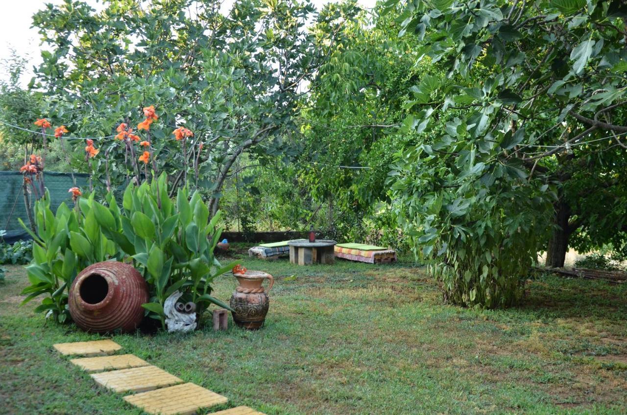 Doloi Garden House Villa Málta Dış mekan fotoğraf